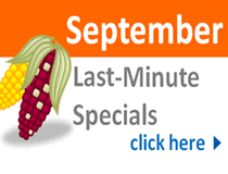 September Last Minute Deals