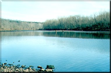 Lake Taneycomo - Branson, Missouri - The Best Rainbow Trout and Brown Trout Fishing