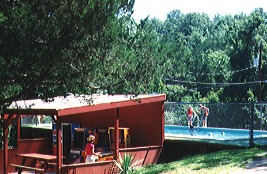 Cloud Nine Resort - Our Pool