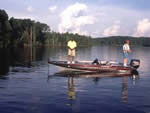 Bull Shoals Fishing