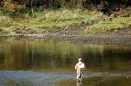 Fly Fishing on Lake Taneycomo