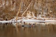 Lake Taneycomo Winter