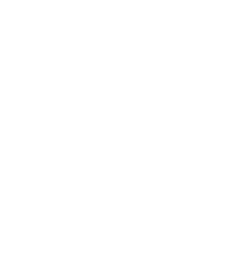 Branson.com - White Compass Icon