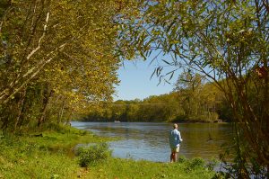 Fishing in the Ozarks