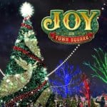 Silver Dollar City's 8-Story Tall Christmas Tree!