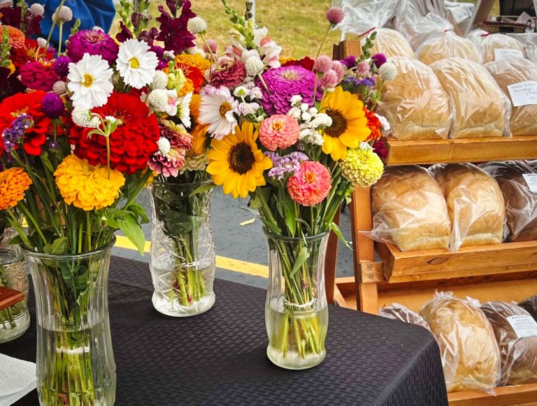 farmers_market_in_branson_mo