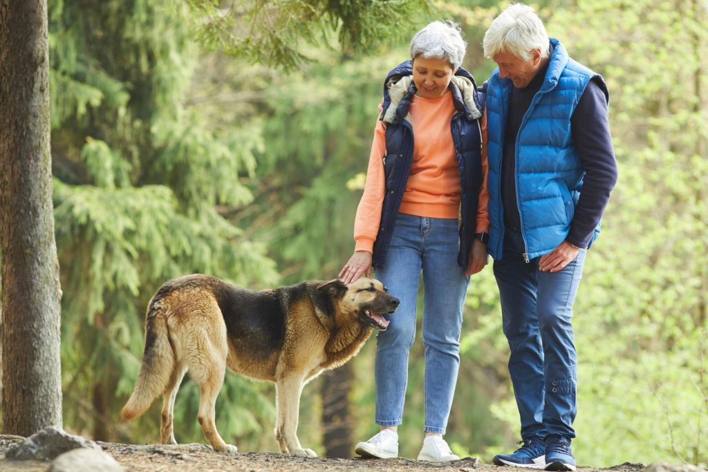 Branson MO Dog Friendly Branson Dog friendly hotels