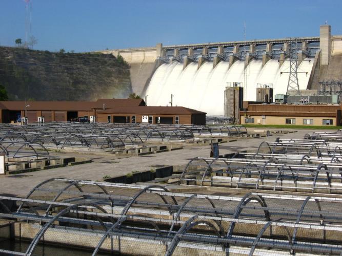 Shepherd of the hills dam