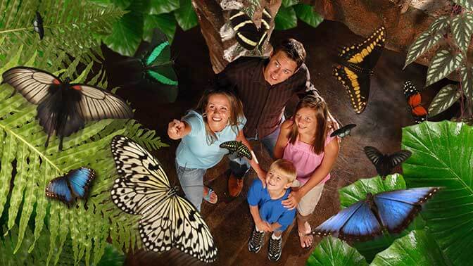 Butterfly Palace Branson