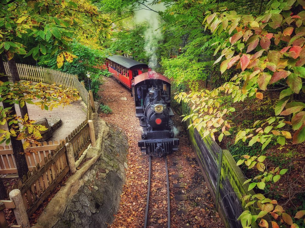 Silver Dollar City train