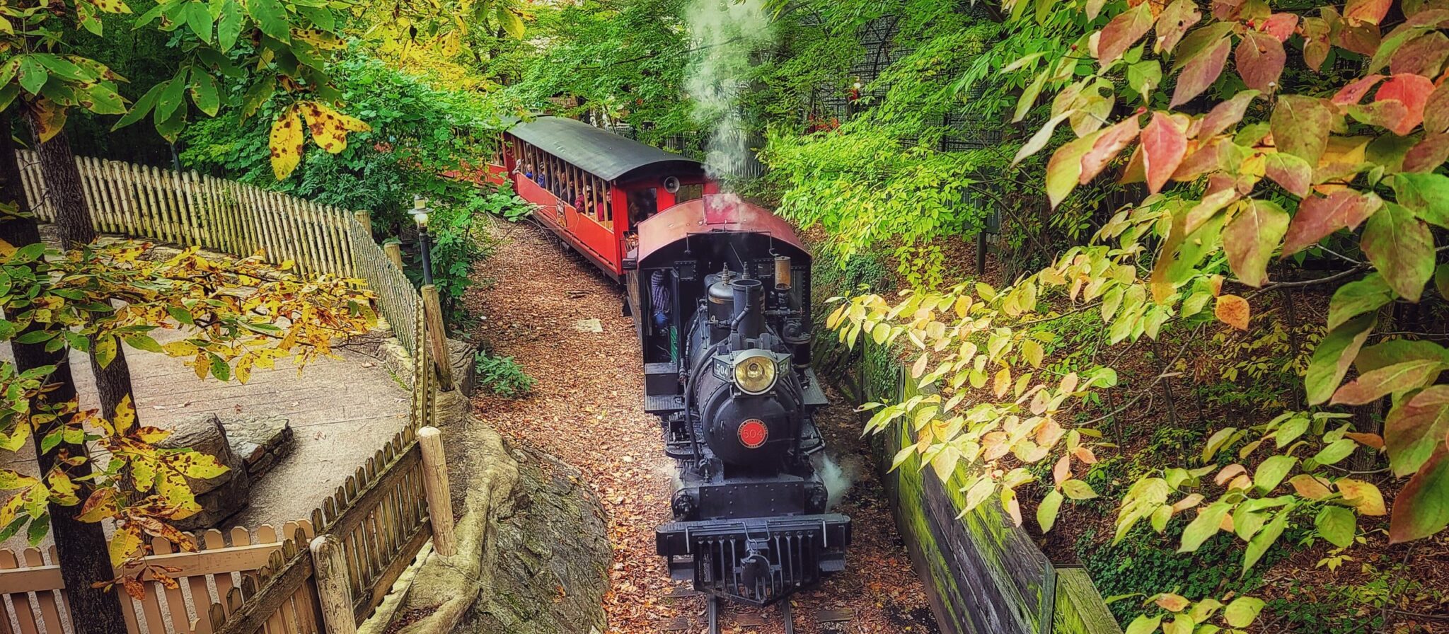 Silver Dollar City train