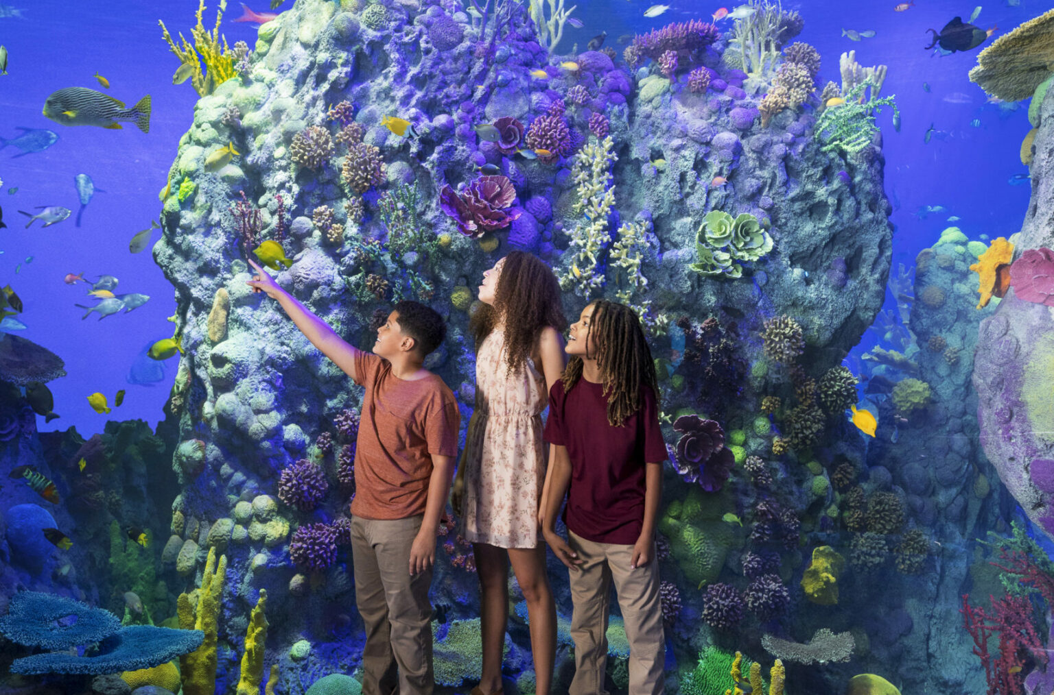 Branson Aquariums to Visit This Year Branson, Missouri