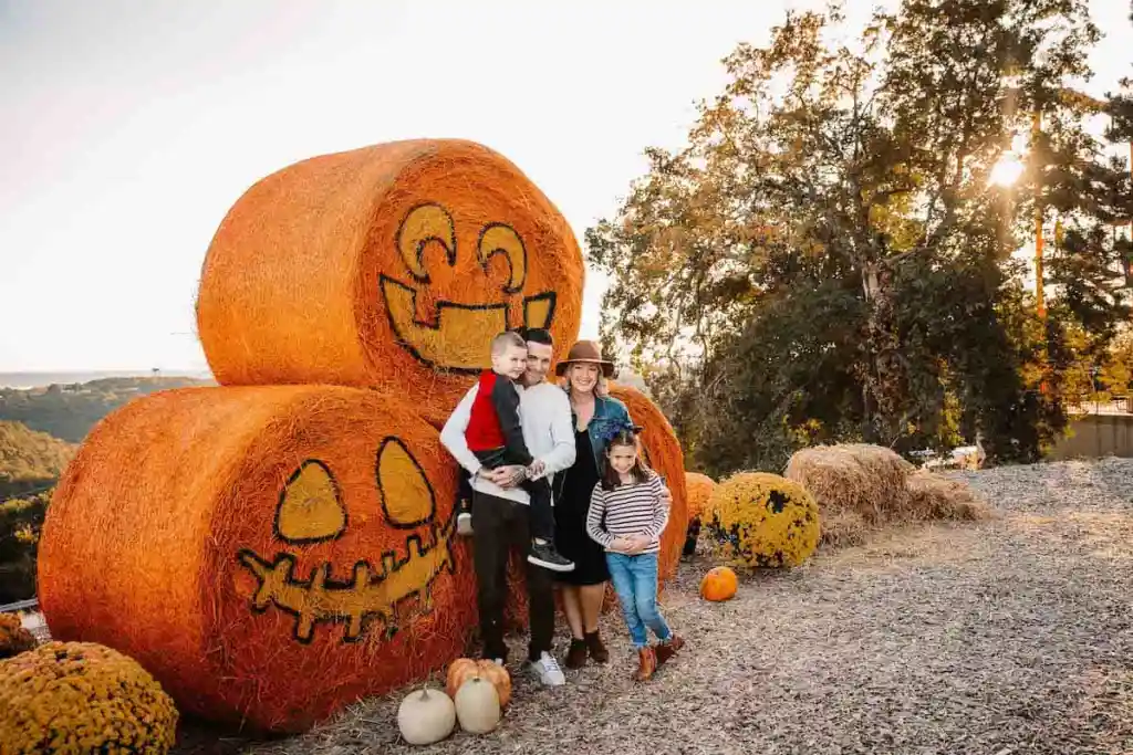 haybailpumpkins (1) | Branson.com pumpkin_fest_shepherd_of_the_hills_branson