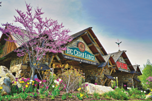 big_cedar_branson_mo