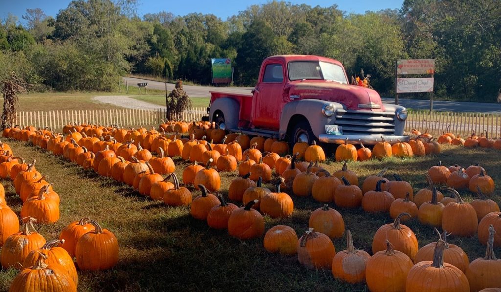 fall_festivals_in_branson_missouri