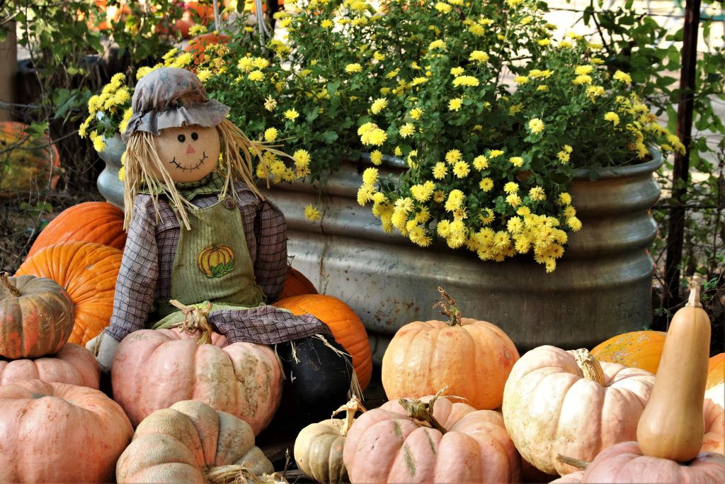 fall_festivals_in_branson_missouri