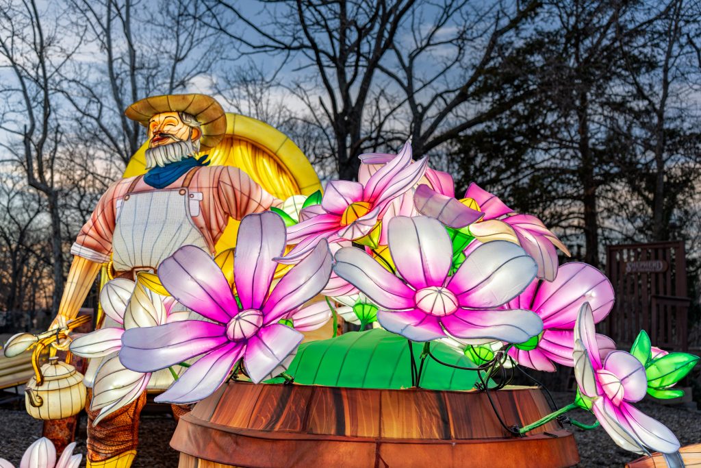 new_in_branson_missouri