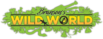 Logo for Branson's Wild World featuring bold yellow 'WILD WORLD' text with green botanical flourishes and an alligator silhouette above.